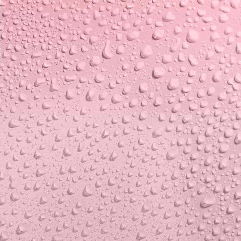 BRUME CORPORELLE "PRETTY BUT WILD" DE SECRET PLAY