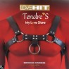 Accessoires HARNAIS BONDAGE LOVEHIT POUR HOMME