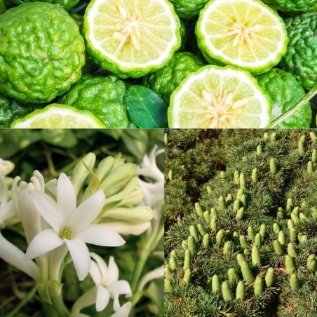 Aphrodisiaques PARFUM D ATTIRANCE PHEROSTRONG HQ