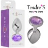 PLUG ANAL ARGENTE CRISTAL VIOLET TAILLE L DE "INTENSE"