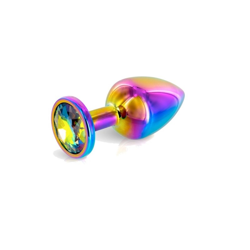 Plugs & Chapelets Anals PLUG METAL RAINBOW TAILLE S DE HIDDEN EDEN
