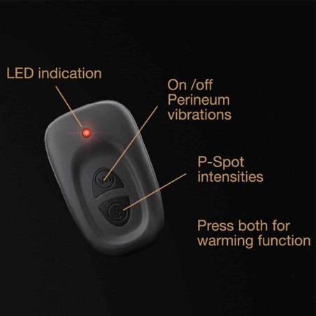 Love toys STIMULATEUR PROSTATIQUE ROTATIF VIBRANT P-SWING DE DORCEL